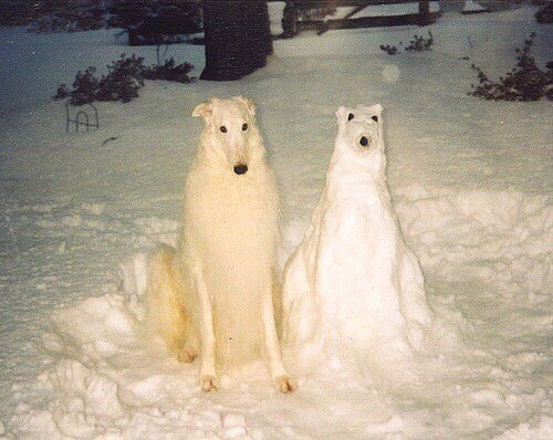 Two snow creatures posed upright in a yard.