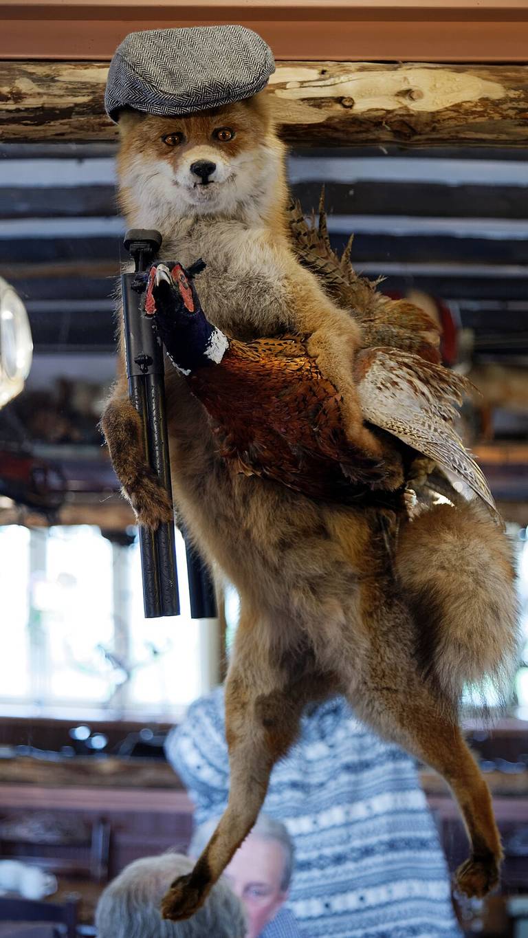 Fox and pheasant animated taxidermy, at Lower Beeding, West Sussex, England.jpg in the Cursed Animals collection.