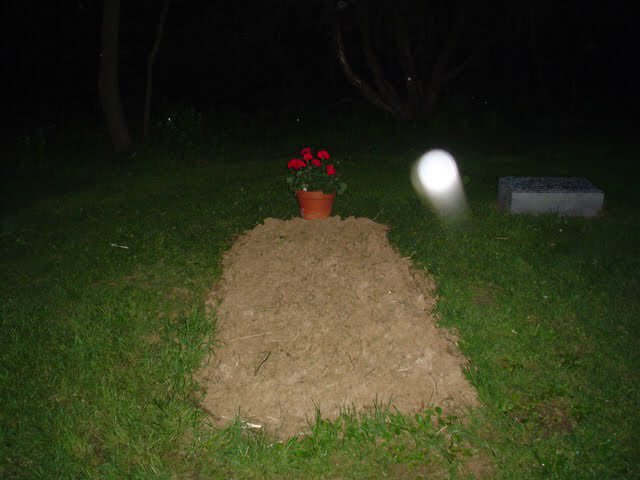 Small mound with flowers photographed at night.