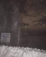 A fence sign warns that horses may bite, with a horse head visible behind the fence in a snowy night scene.