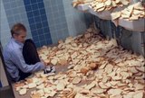 Many bread pieces are scattered across a tiled room.