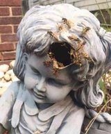 weathered statue face close-up.
